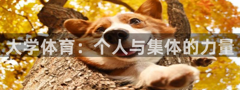 利记官网下载平台是正规平台吗知乎：大学体育：个人与集