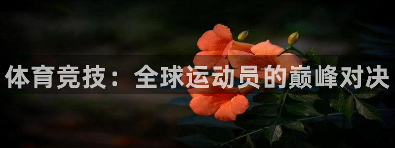 利记官网下载招商电话号码：体育竞技：全球运动员的巅峰对决