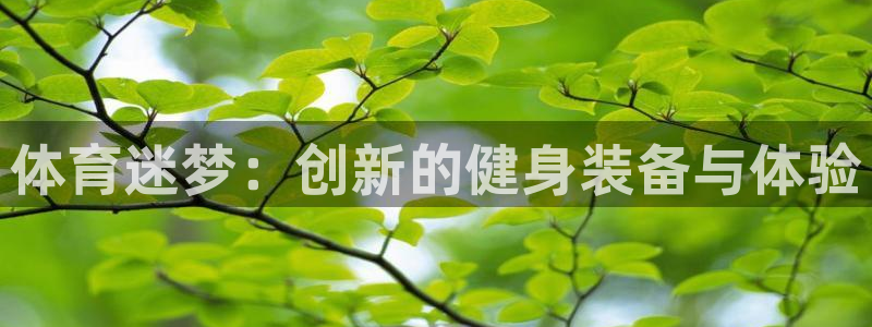 德国利记官方正版app集团：体育迷梦：创新的健身装备