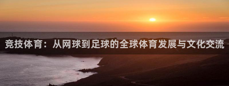 利记官方正版app娱乐代理怎么样：竞技体育：从网球到