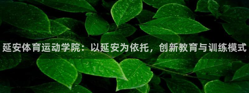 利记官方正版app集团简介：延安体育运动学院：以延安为依托，