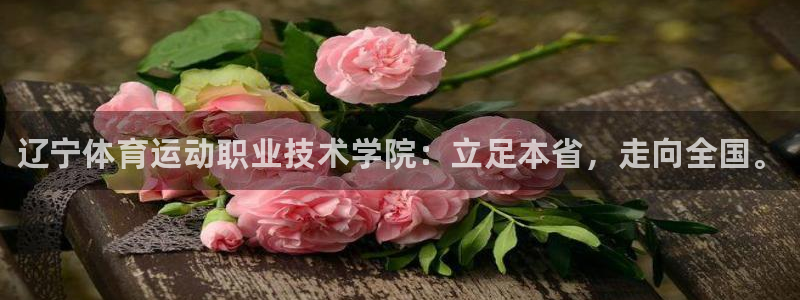 利记官方正版app娱乐下载：辽宁体育运动职业技术学院：立足本