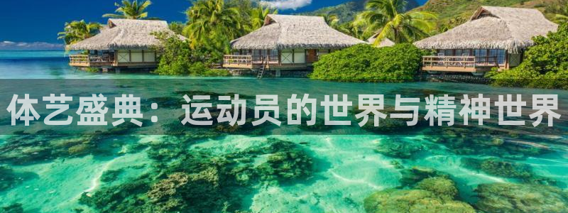 利记官方正版app神州：体艺盛典：运动员的世界与精神世界