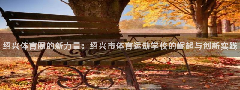 利记官网下载平台是正规平台吗：绍兴体育圈的新力量：绍兴市体育
