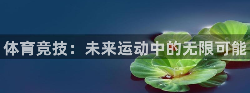 利记官方正版app代理：体育竞技：未来运动中的无限可