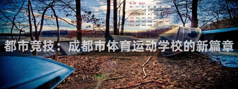 利记官方正版app娱乐首页官网下载：都市竞技：成都市体育运动