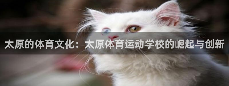 利记官方正版app集团简介：太原的体育文化：太原体育