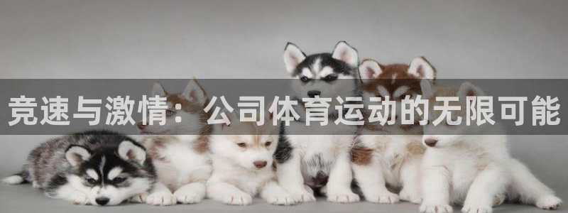 利记官网下载是干嘛的公司：竞速与激情：公司体育运动的无限可能