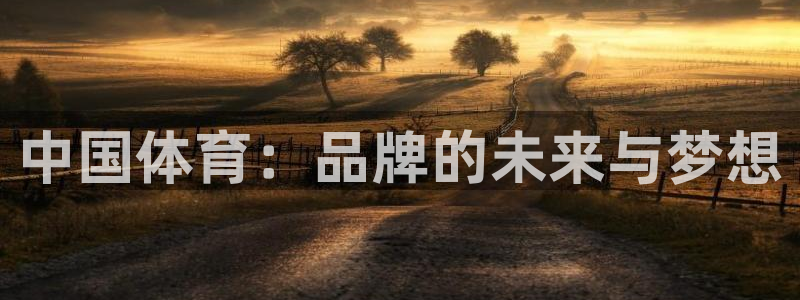 利记官方正版app娱乐代理怎么样：中国体育：品牌的未来与梦想