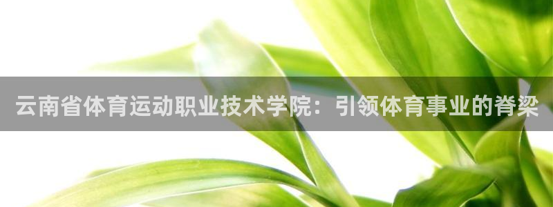 利记轮渡：云南省体育运动职业技术学院