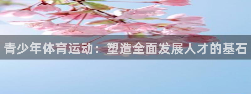 利记365：青少年体育运动：塑造全面