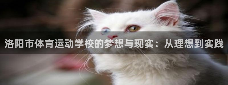 sbo利记：洛阳市体育运动学校的梦想