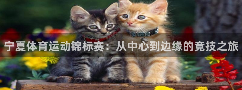 利记sbobet：宁夏体育运动锦标赛